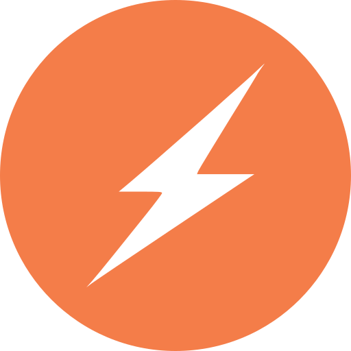 Flash Service Logo